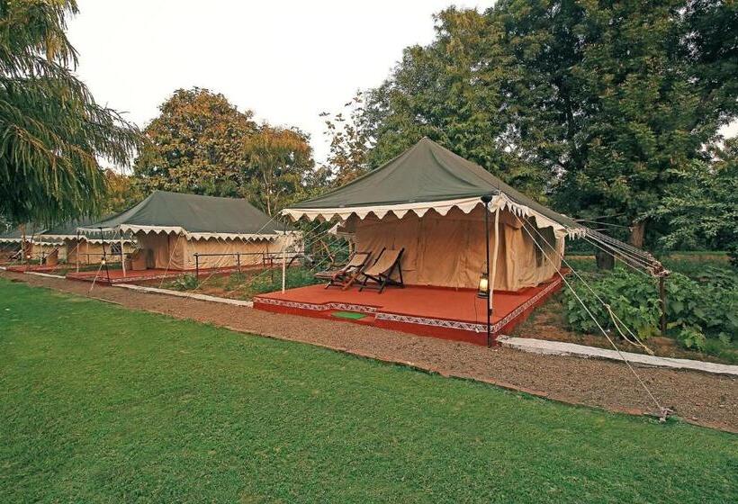 Deluxe Tent, Bhadrawati   A Riverside Safari Lodge Ranthambore