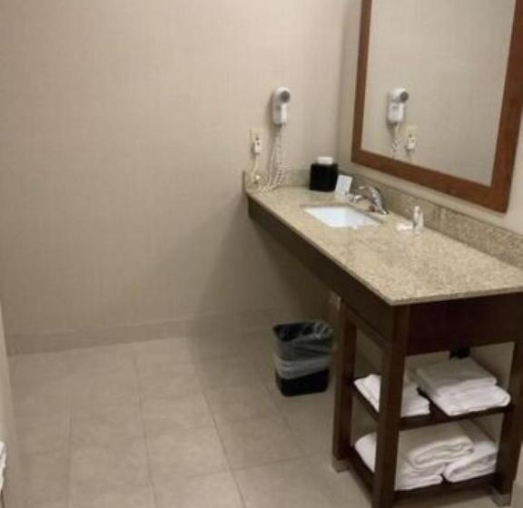 Люкс Адаптированный для Инвалидов, Comfort Inn & Suites West Chester   North Cincinnati