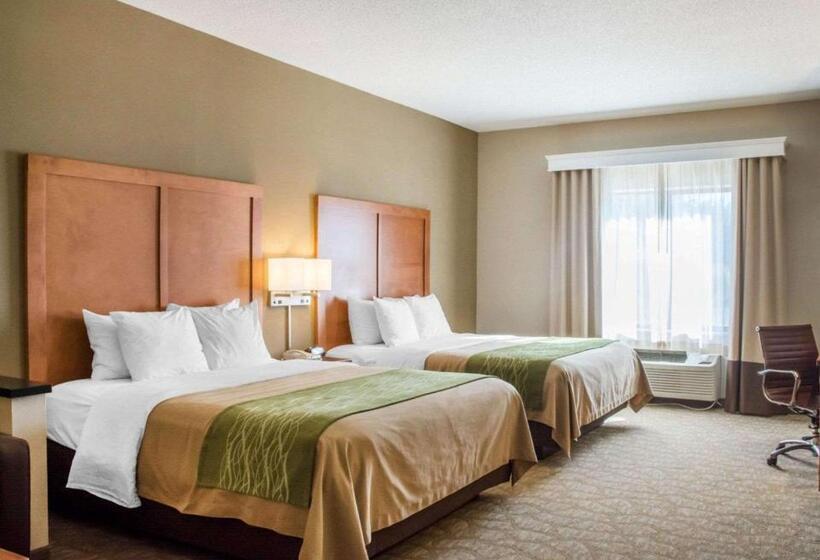 Люкс Адаптированный для Инвалидов, Comfort Inn & Suites West Chester   North Cincinnati