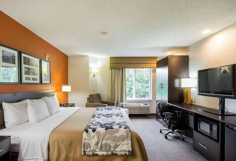 스탠다드 룸 킹사이즈 침대, Sleep Inn & Suites