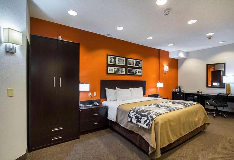 장애인을 위한 킹사이즈 침대 스탠다드 룸, Sleep Inn & Suites