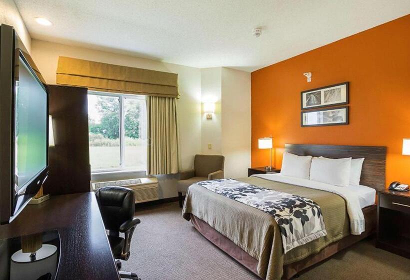 장애인을 위한 스탠다드 룸, Sleep Inn & Suites