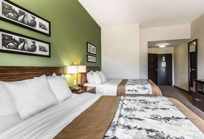 Номер Стандарт, Sleep Inn & Suites Mount Olive North