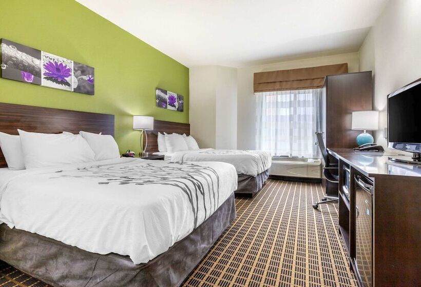Номер Стандарт 2 Двуспальные Кровати, Sleep Inn Orangeburg