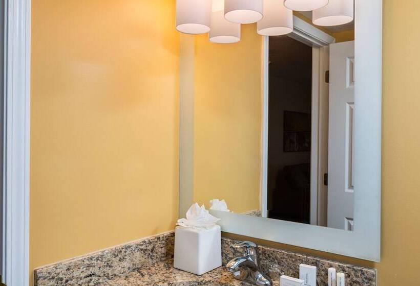 Люкс, Towneplace Suites By Marriott Atlanta Kennesaw