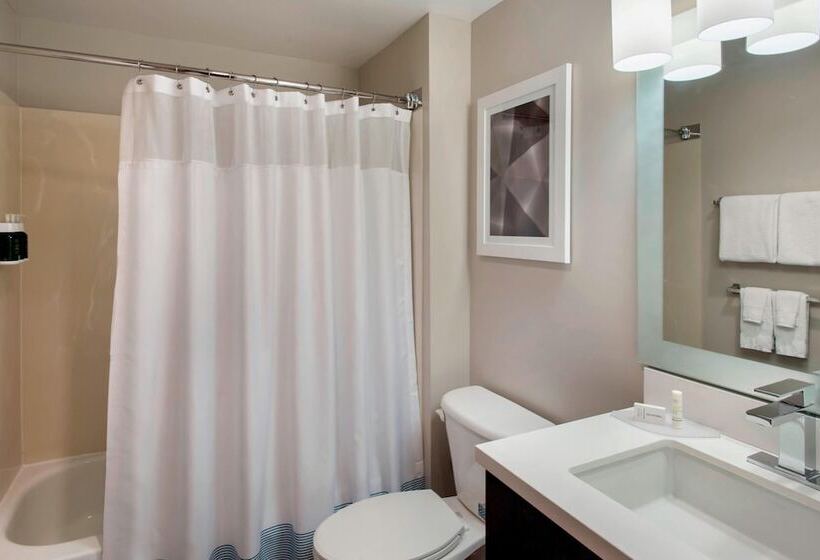 Люкс 2 Спальни, Towneplace Suites Chicago Lombard