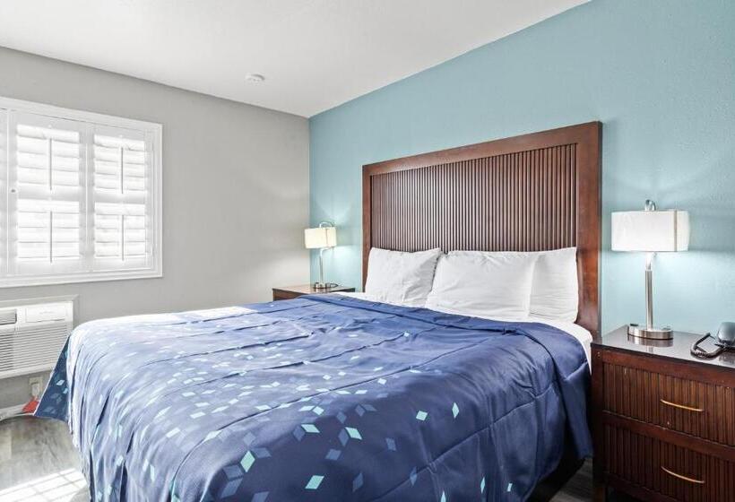 اتاق لوکس با تخت بزرگ, Travelers Inn Medford