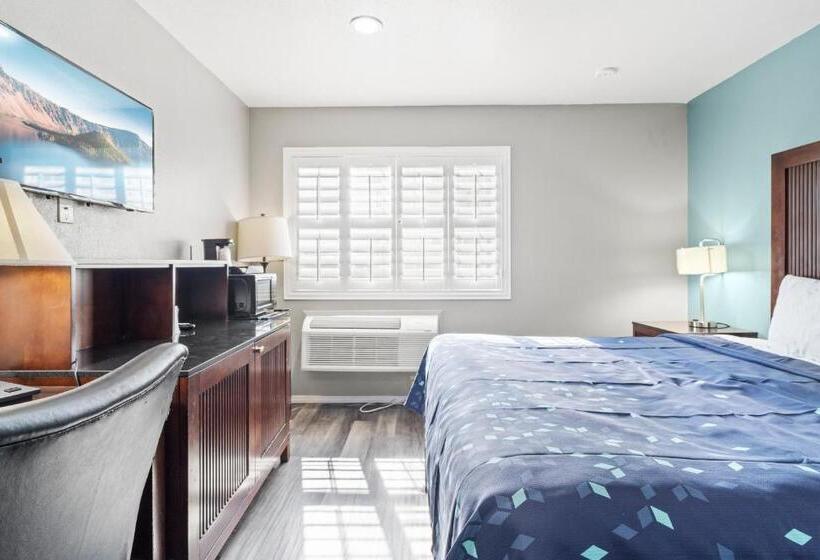اتاق لوکس با تخت بزرگ, Travelers Inn Medford