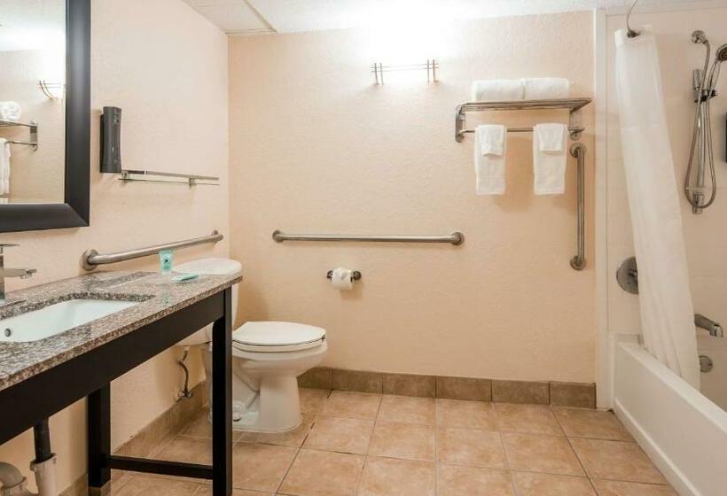 Стандартный Номер Кровать Кинг, Best Western Mulberry
