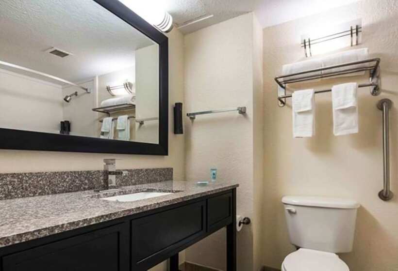 Номер Стандарт 2 Двуспальные Кровати, Best Western Mulberry