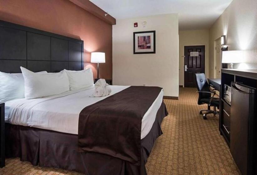 Номер Стандарт Кровать Кинг Адаптированный для Инвалидов, Best Western Mulberry