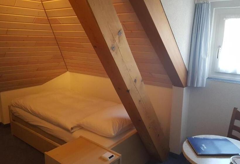 Одноместный Номер Basic, Hôtel Restaurant Cave Bel Air