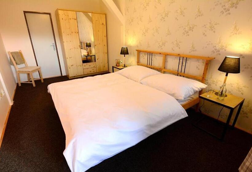 Номер Стандарт, Ski Hotel Svoboda Nad Upou
