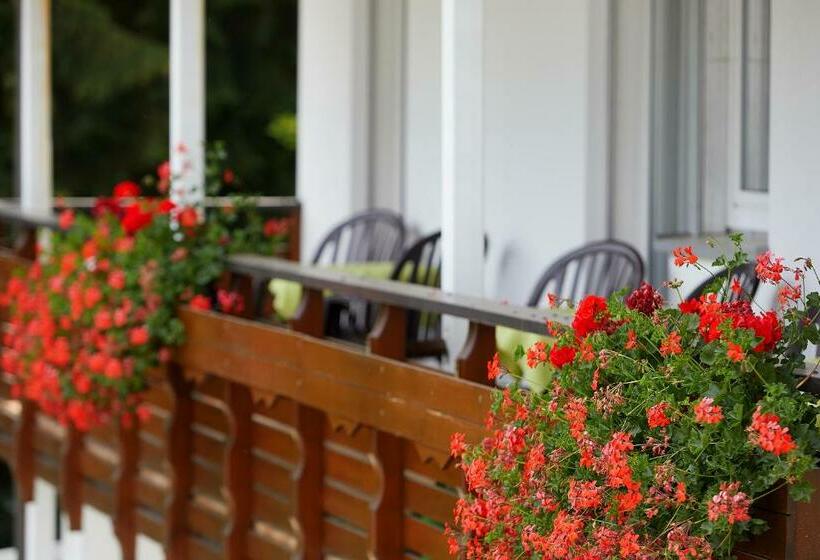 Номер Deluxe Одноместный, Tannmühle Hotel Und Restaurant Gmbh