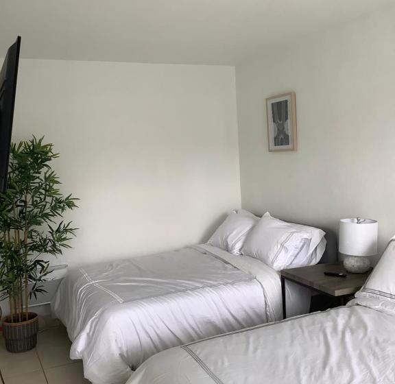 디럭스 룸, Motel Lauderdale Inn