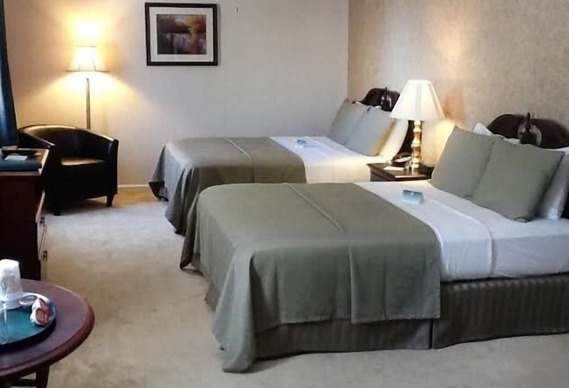 Номер Deluxe, Green Park Inn