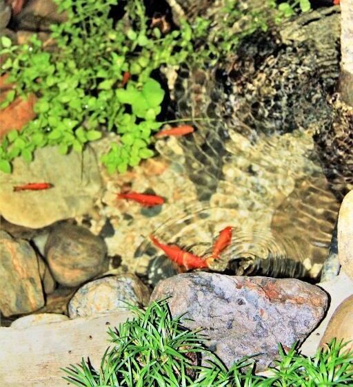 خانه 1 خوابه, Tsubakian   Kyoto   Vacation Stay 29429v