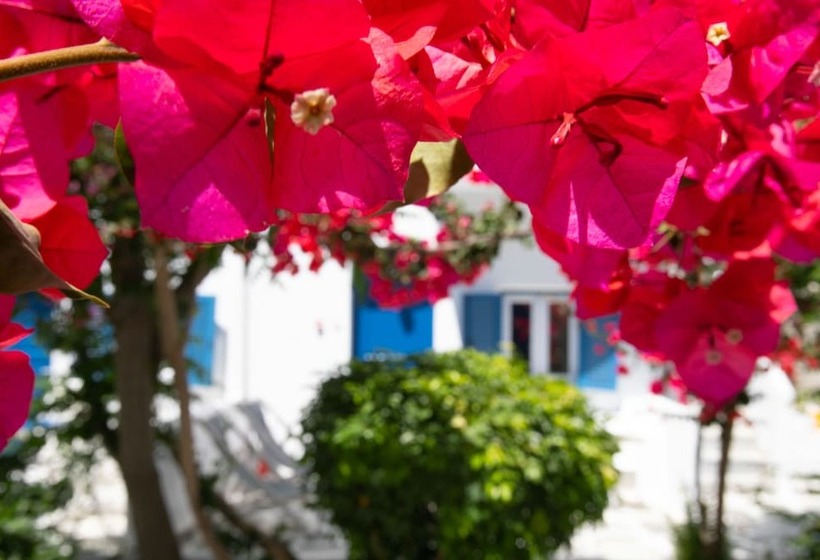 اتاق سه نفره دلوکس با چشم‌انداز باغ, Acrogiali Beachfront Hotel Mykonos