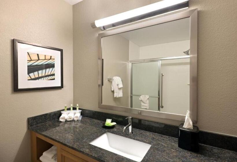 Люкс Кровать Кинг, Holiday Inn Express Hotel & Suites Fraser Winter Park Area, An Ihg