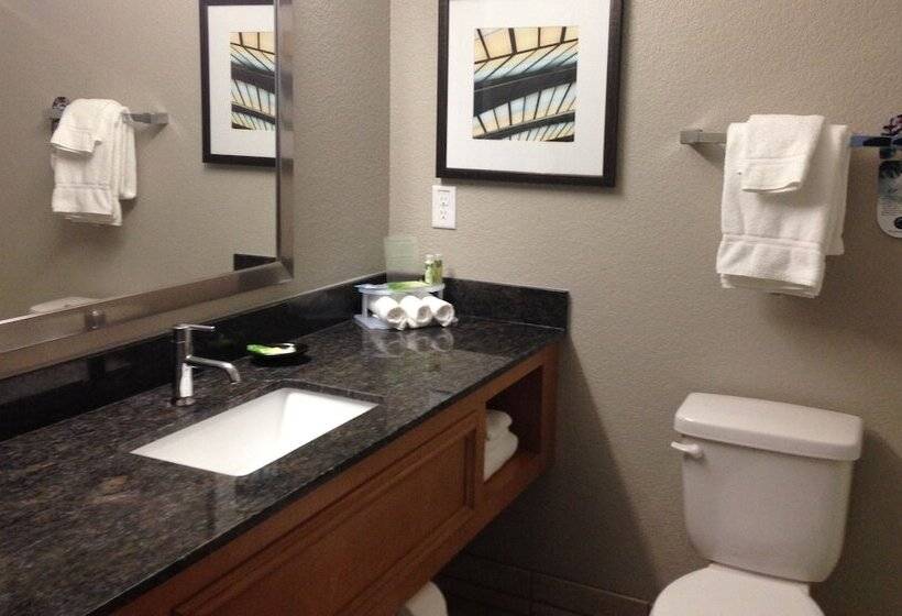 Люкс, Holiday Inn Express Hotel & Suites Fraser Winter Park Area, An Ihg