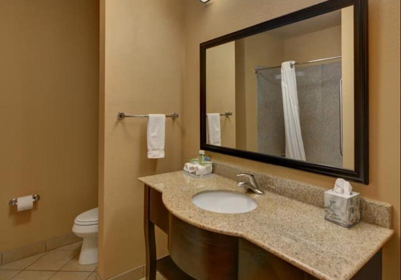 キングサイズベッドのスタンダードルーム, Holiday Inn Express Tyler South, An Ihg