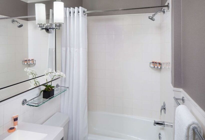 اتاق استاندارد با تخت دوبل, Park South Hotel, Part Of Jdv By Hyatt