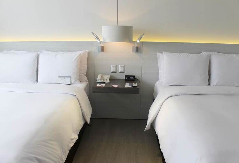 اتاق سوپریور, Sol De Oro Hotel & Suites