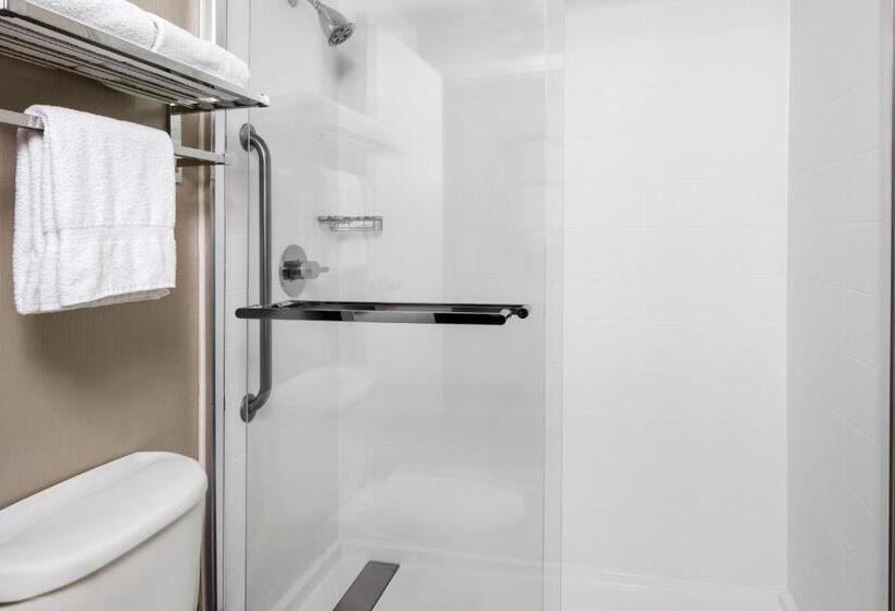 Люкс, Springhill Suites Austin Round Rock