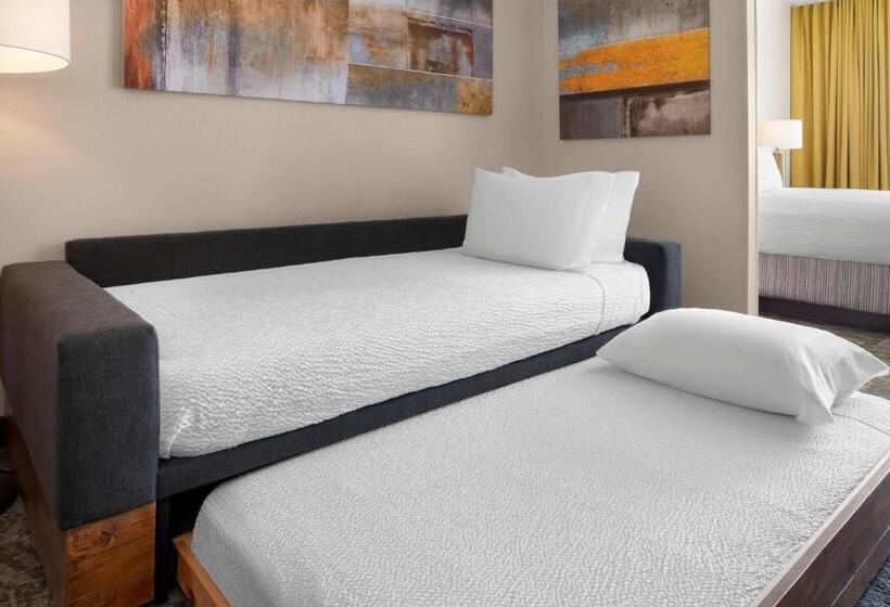 Люкс Адаптированный для Инвалидов, Springhill Suites Austin Round Rock