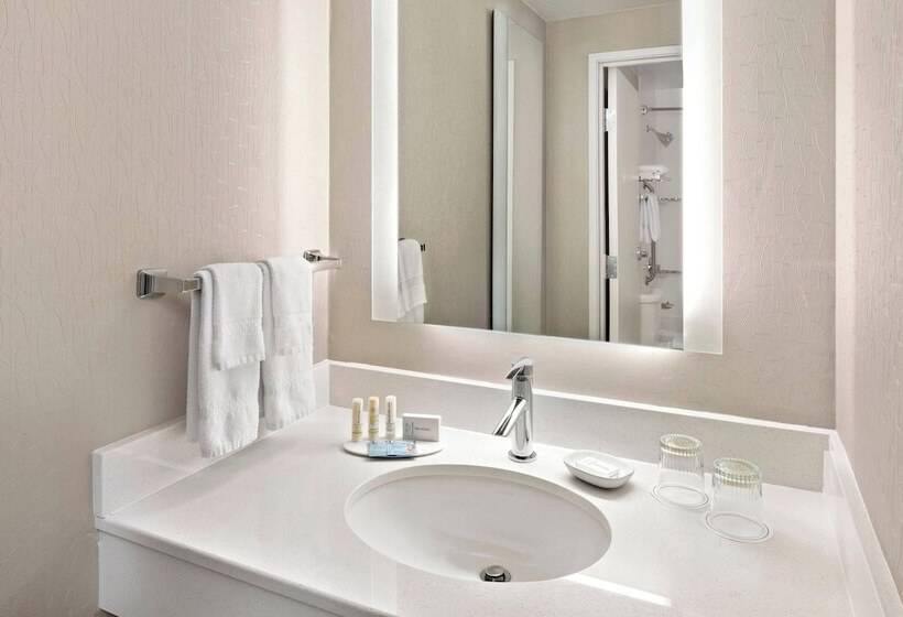 Люкс, Springhill Suites Austin Round Rock