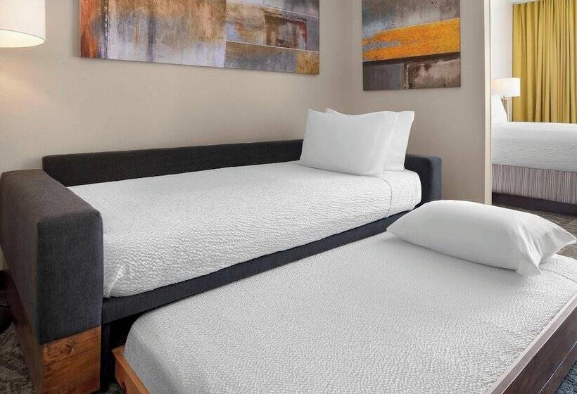 Люкс Адаптированный для Инвалидов, Springhill Suites Austin Round Rock