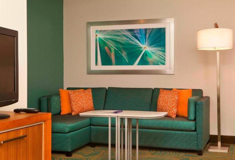 استودیو استاندارد با تخت کینگ, Springhill Suites Boston Peabody