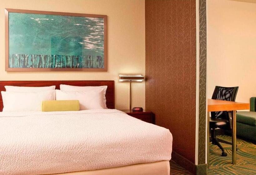 استودیو استاندارد با تخت کینگ, Springhill Suites Boston Peabody