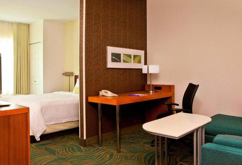 استودیو استاندارد با تخت کینگ, Springhill Suites Boston Peabody