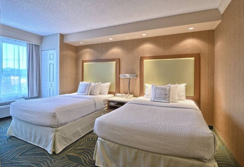 Люкс, Springhill Suites Detroit Southfield