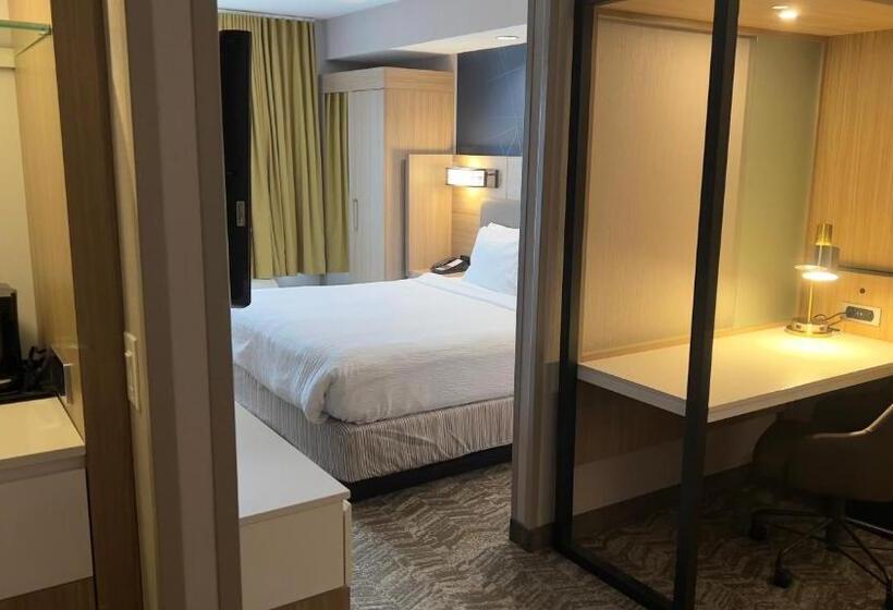 Студио Стандарт Кровать Кинг, Springhill Suites By Marriott Lansing