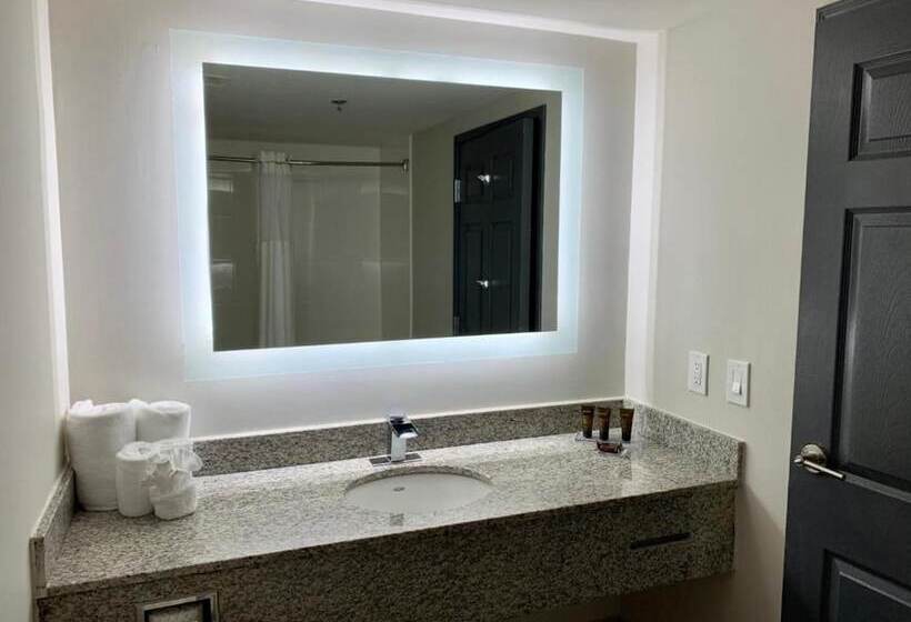 Люкс Premium 2 Спальни, Wingate By Wyndham Atlanta Galleria/ Ballpark