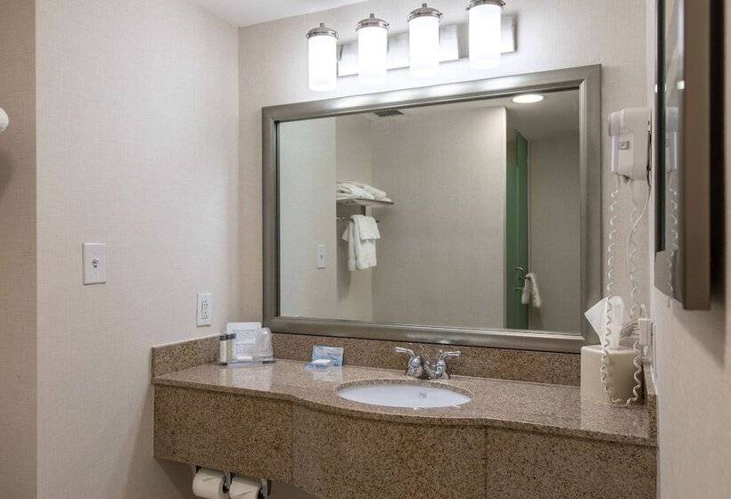 Полулюкс, Wingate By Wyndham Charlotte Concord Mills/speedway