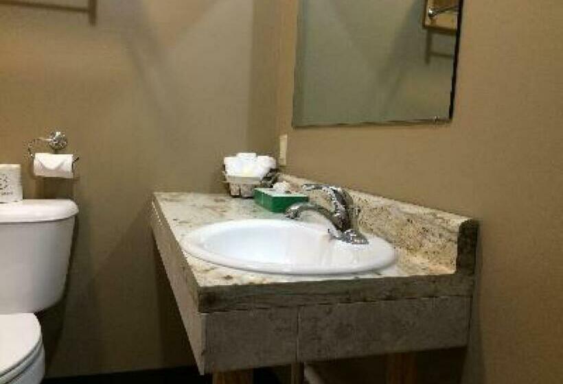 带大床的标准间, Big Horse Inn And Suites