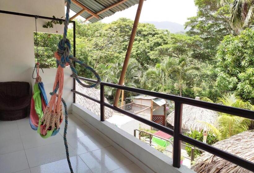 家庭套房, Manakin Tayrona