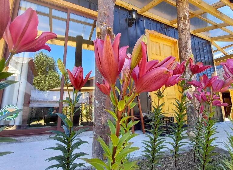 Дом 3 Спальни, Cabanas Senderos Puyuhuapi
