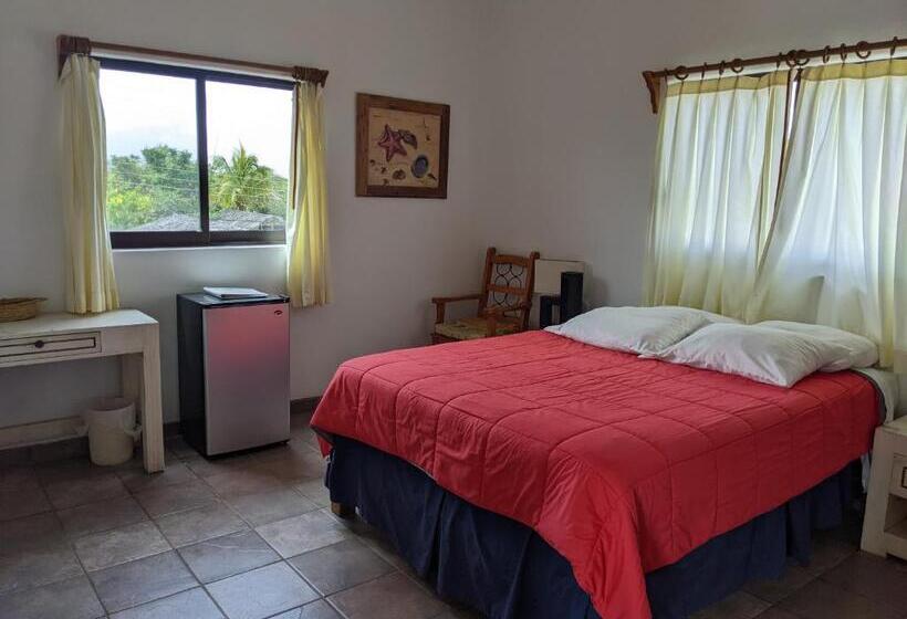 オーシャンビュースタンダードルーム, Hacienda De Palmas