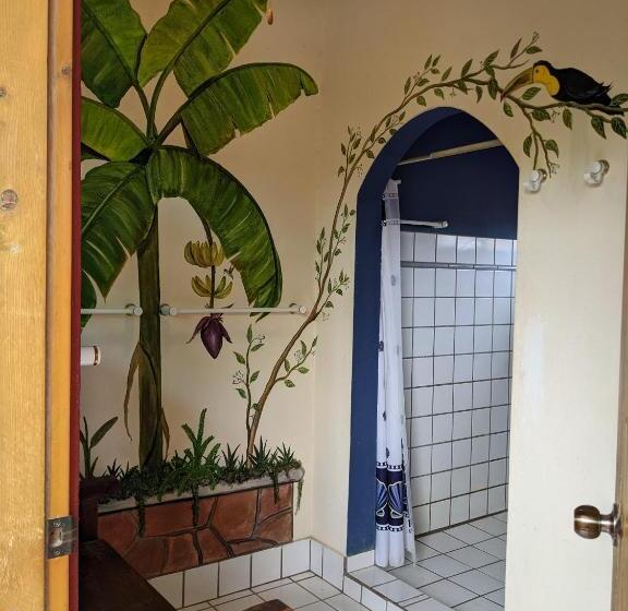 浴室共有ファミリールーム, Hacienda De Palmas