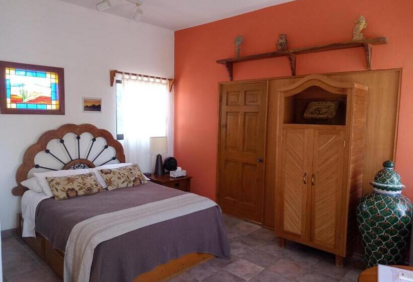 コンフォートトリプルルーム, Hacienda De Palmas