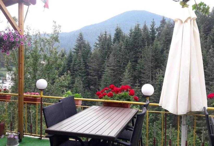 Номер Стандарт Вид на Горы, Guest House Stoletnika