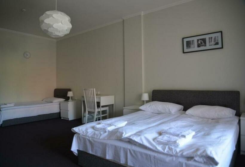 Номер Стандарт Трехместный, Rakhiv Hotel & Apartments