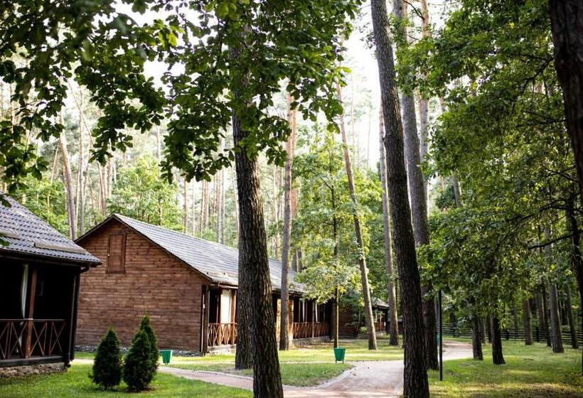 주니어 스위트, Chudodiyevo Park