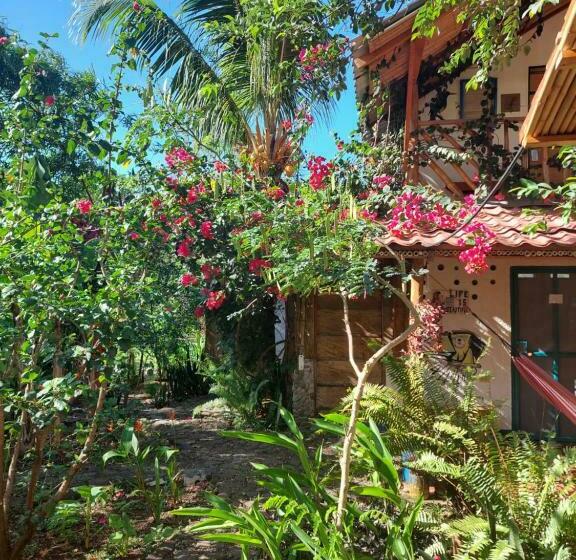 اتاق استاندارد با سرویس بهداشتی مشترک, La Urraca Loca Hostel