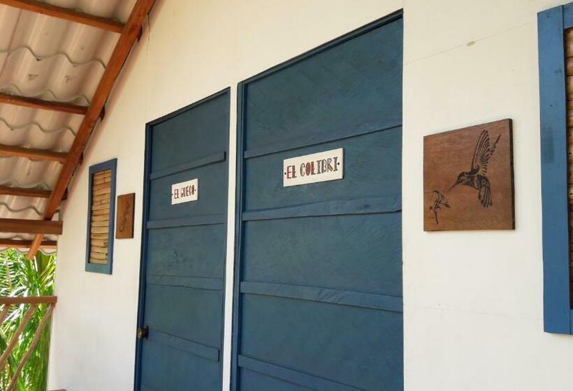 اتاق استاندارد با سرویس بهداشتی مشترک, La Urraca Loca Hostel