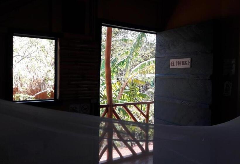 اتاق استاندارد با سرویس بهداشتی مشترک, La Urraca Loca Hostel